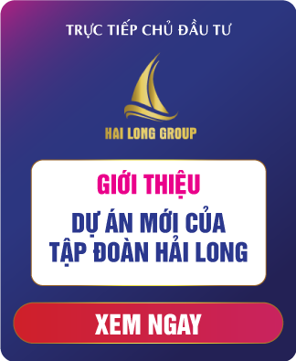 Giới thiệu khu đô thị Vĩ Cầm