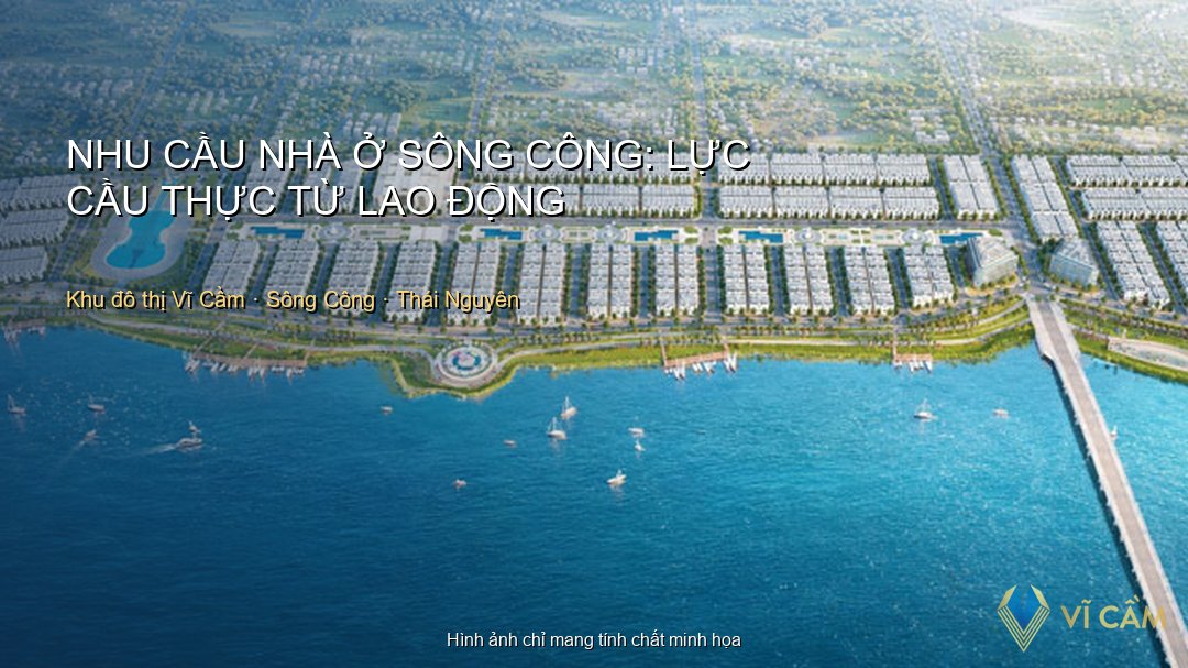 Dân Số & Lao Động Khu Vực Sông Công: Nguồn Cầu Nhà Ở Thực