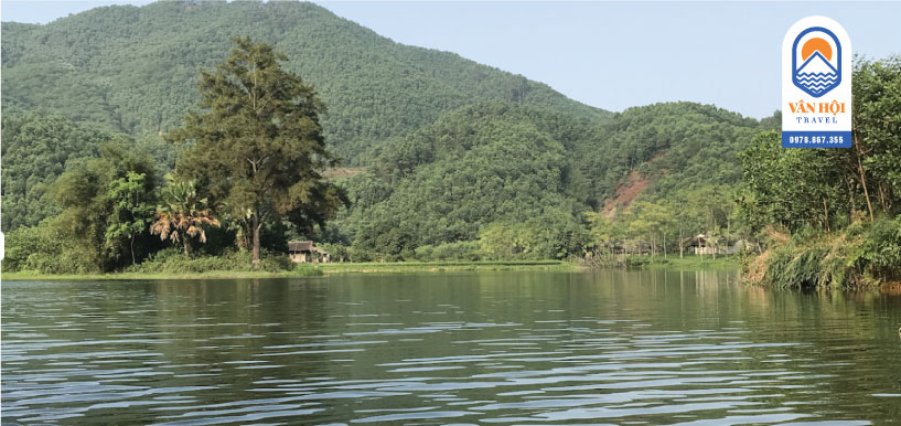 Cây thông trăm năm