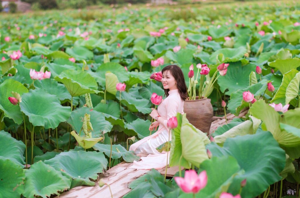 Chụp ảnh đầm sen 1