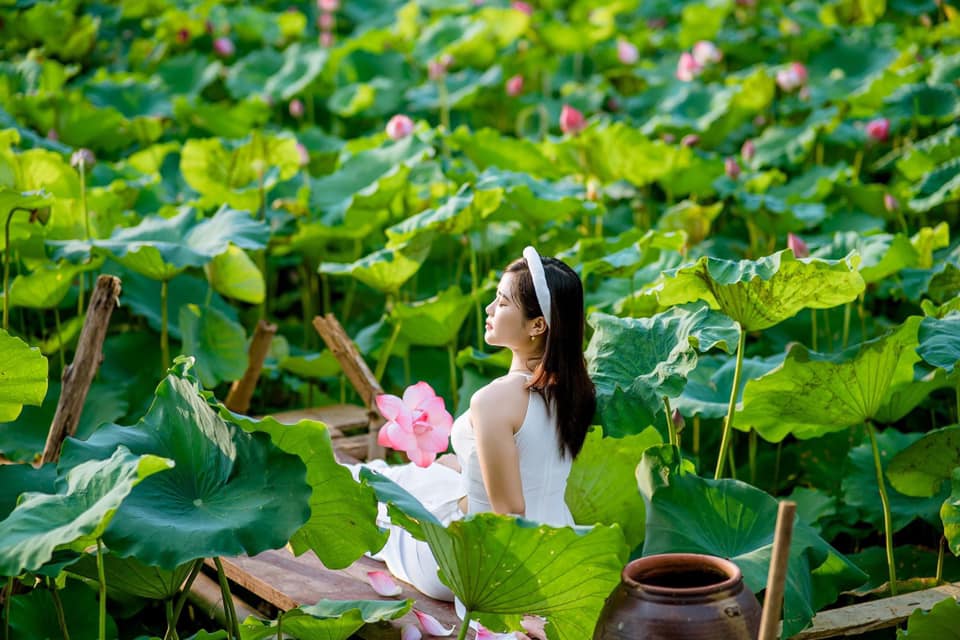 Chụp ảnh đầm sen 2