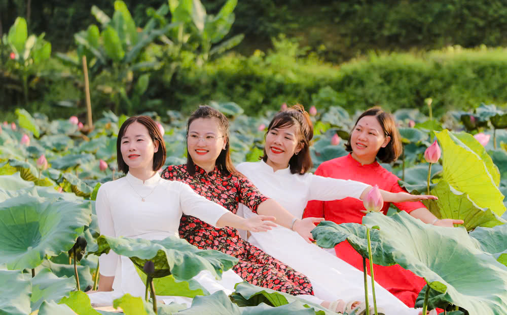 chụp ảnh đầm vân hội - du khách tạo dáng rực rỡ tại đầm sen