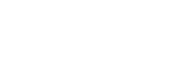 Logo Footer