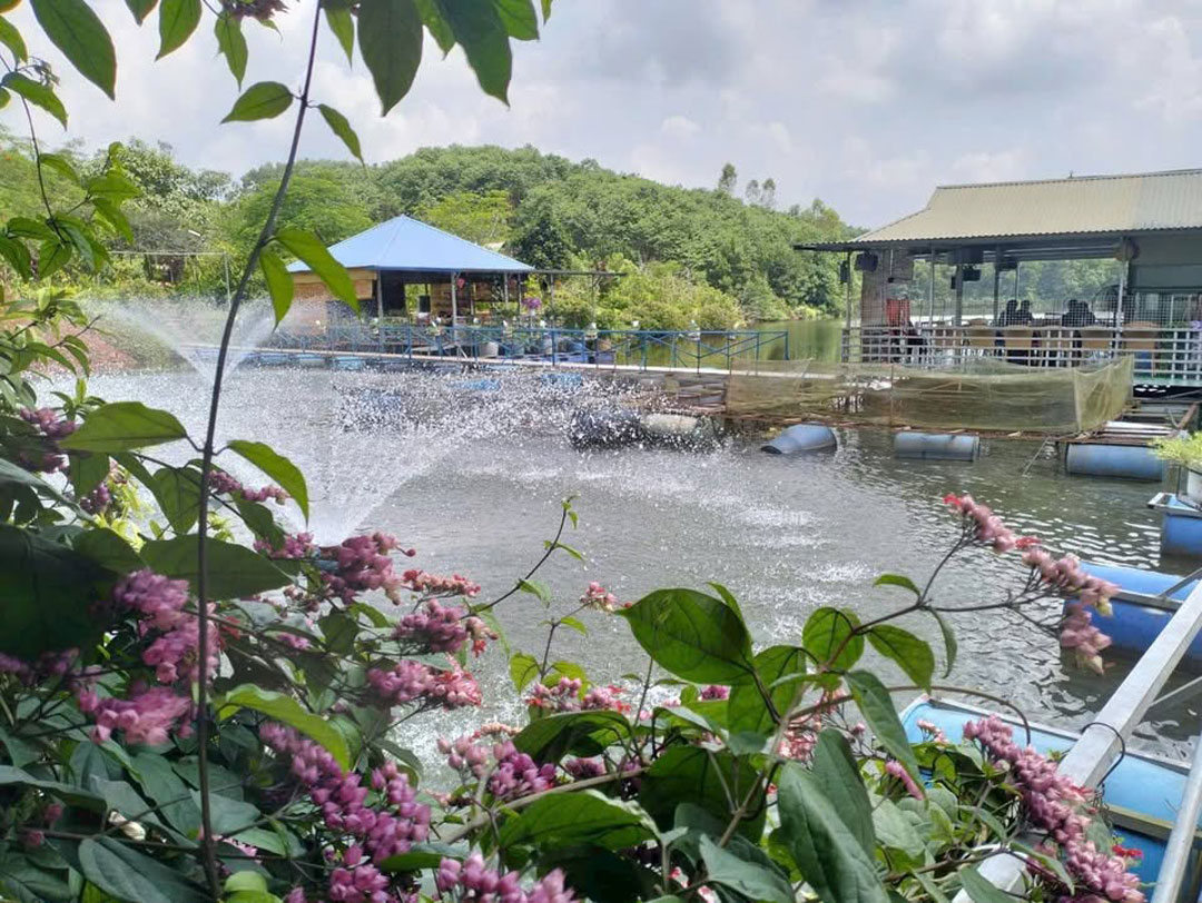 Homestay Ngọc Liên Đầm Vân Hội