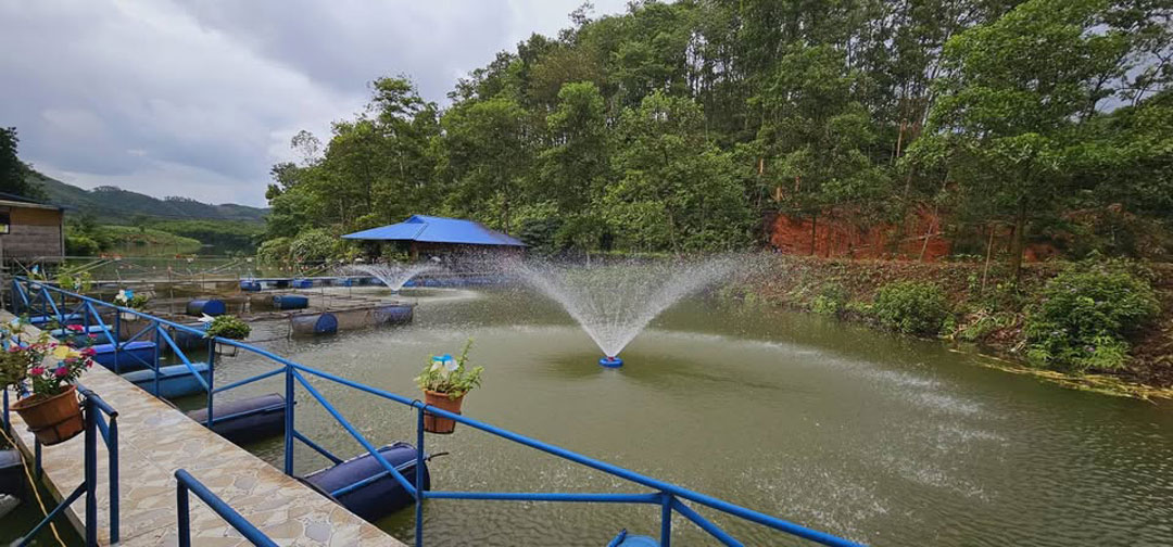 Nhà nghỉ Ao Xanh Đầm Vân Hội