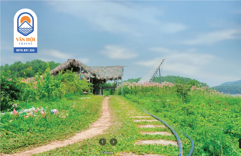 du lịch gần hà nội cuối tuần - dã ngoại thung lũng hoa đầm vân hội