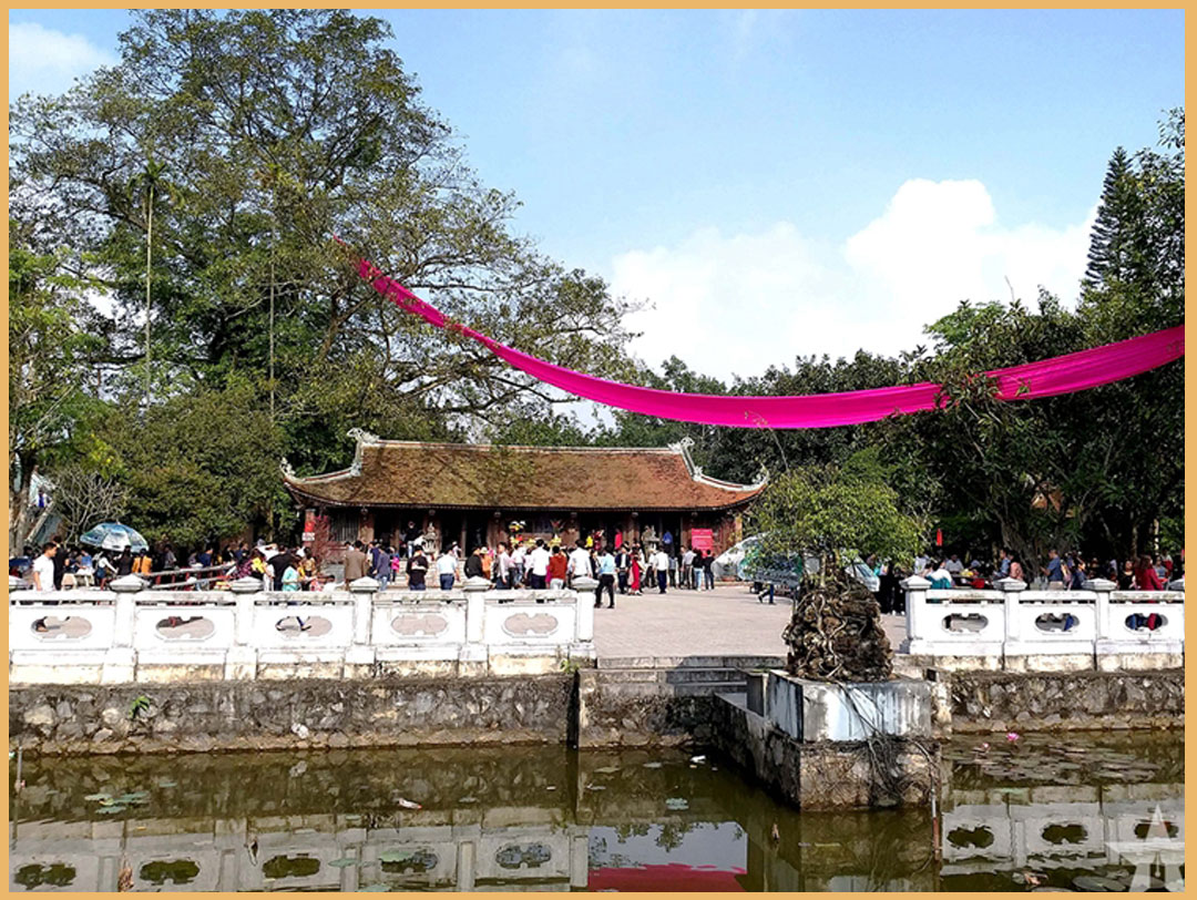 Tranh minh họa gốc đa và dải lụa bay