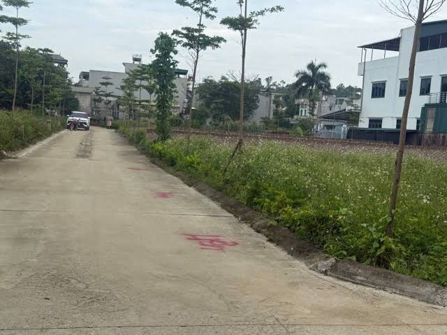 Đường bê tông ô tô vào tận nơi thửa đất nền Hòa Lạc