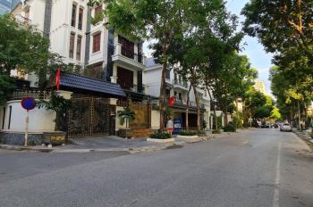 Mặt tiền căn biệt thự diện tích 174–220 m² Mễ Trì Hạ