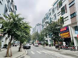 Tuyến phố thương mại liền kề HD Mon City sầm uất tại Mỹ Đình